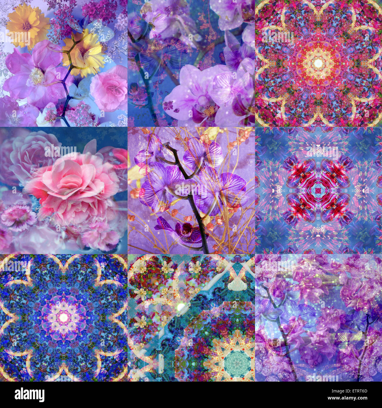 collage from flower montages, Stock Photo
