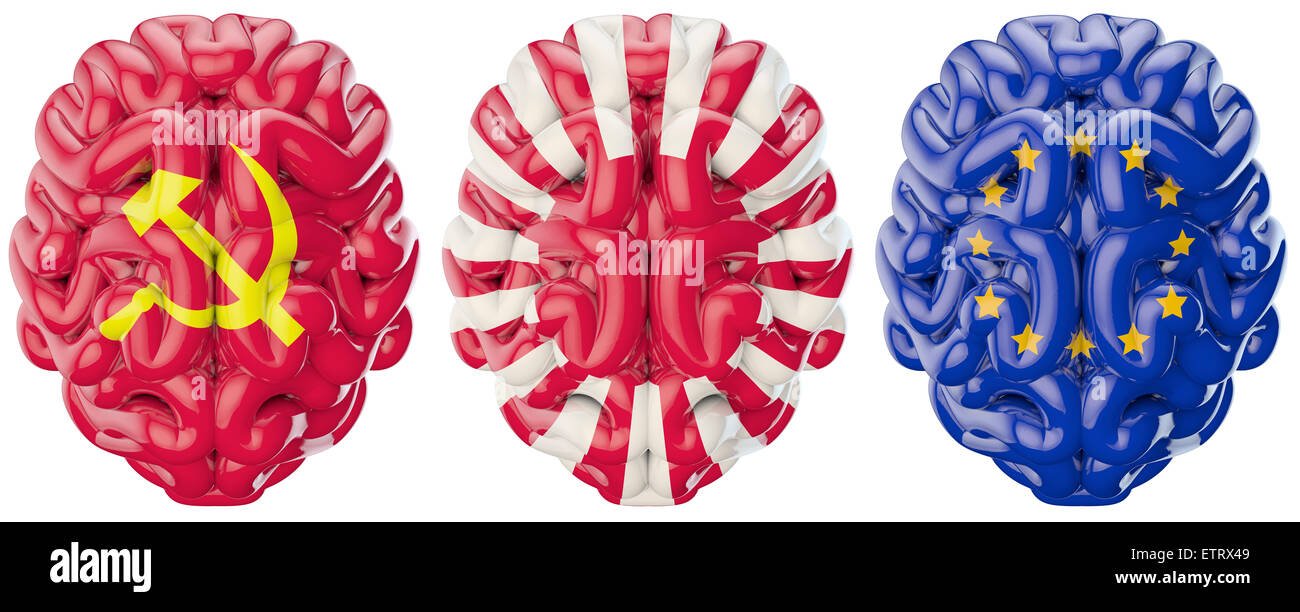 3D render of brains decorated with Soviet, wartime Japanese and EU flags Stock Photo