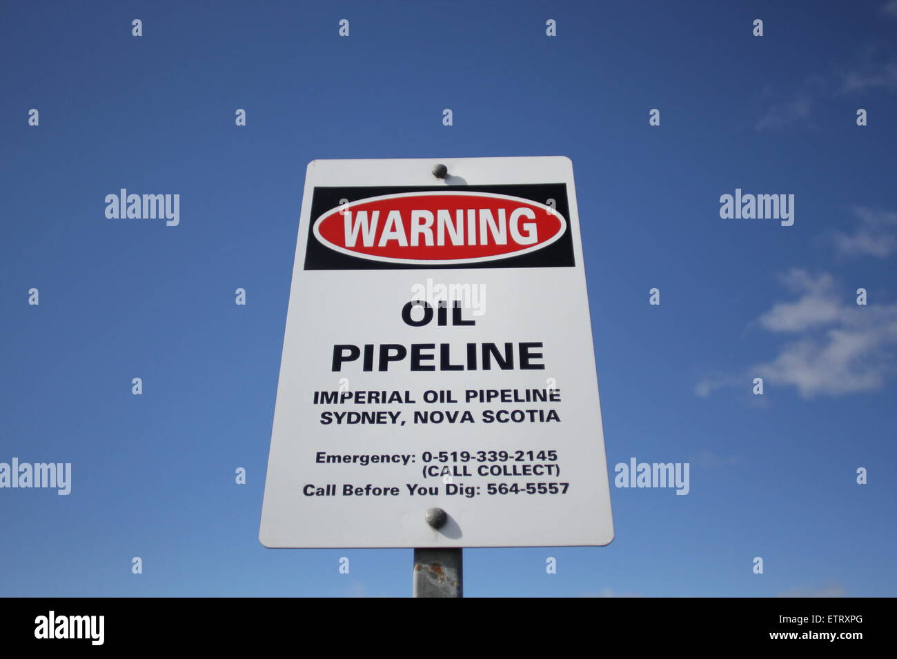 Imperial oil stock options