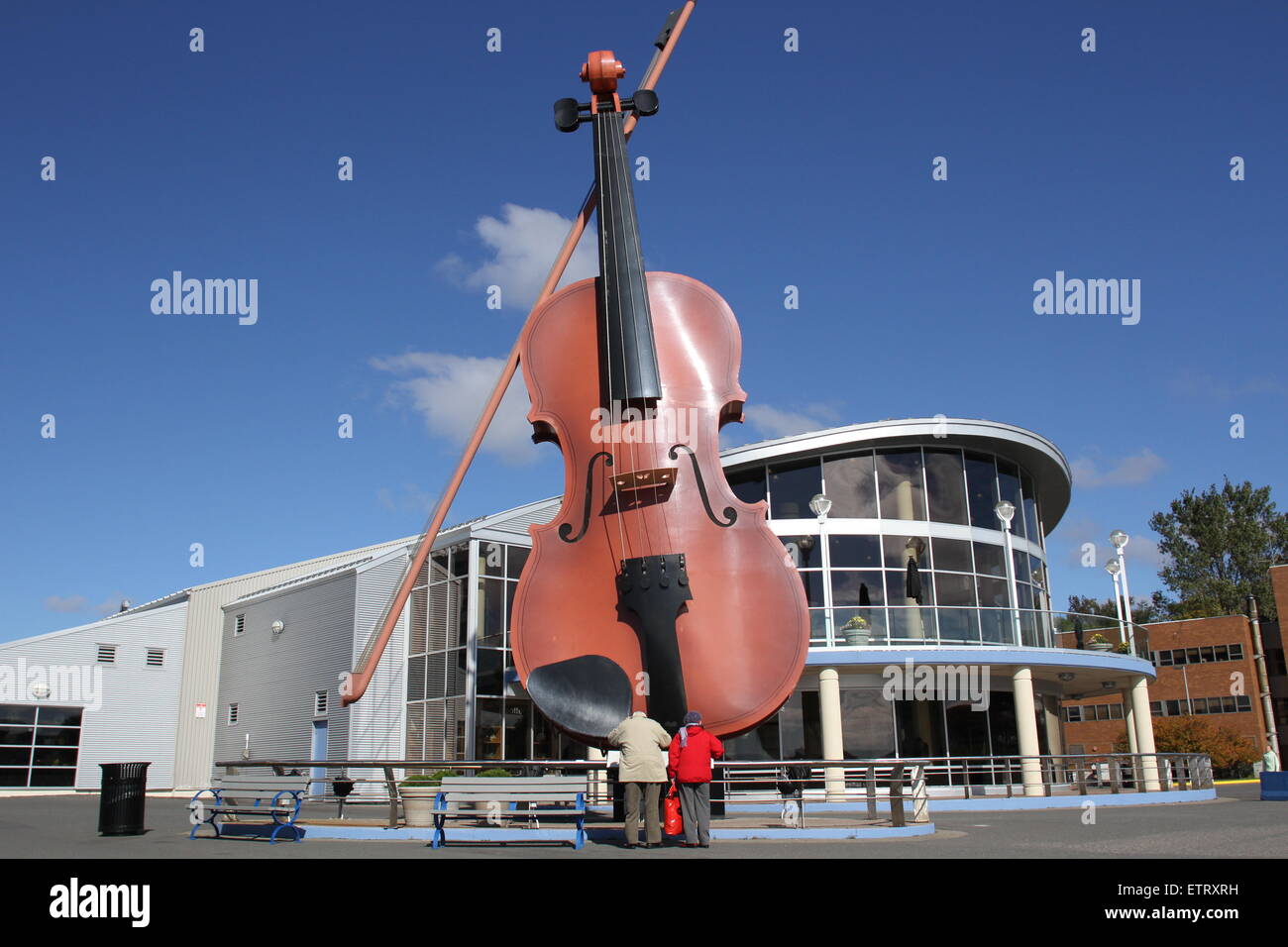 World's shop largest violin
