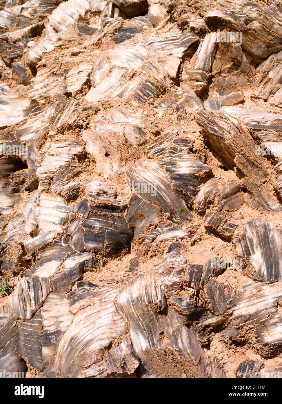 Close-up image of selenite crystals (gypsum, calcium sulfate) at Glass  Mountain, Hartnett Draw, Capitol Reef National Park, Utah Stock Photo -  Alamy