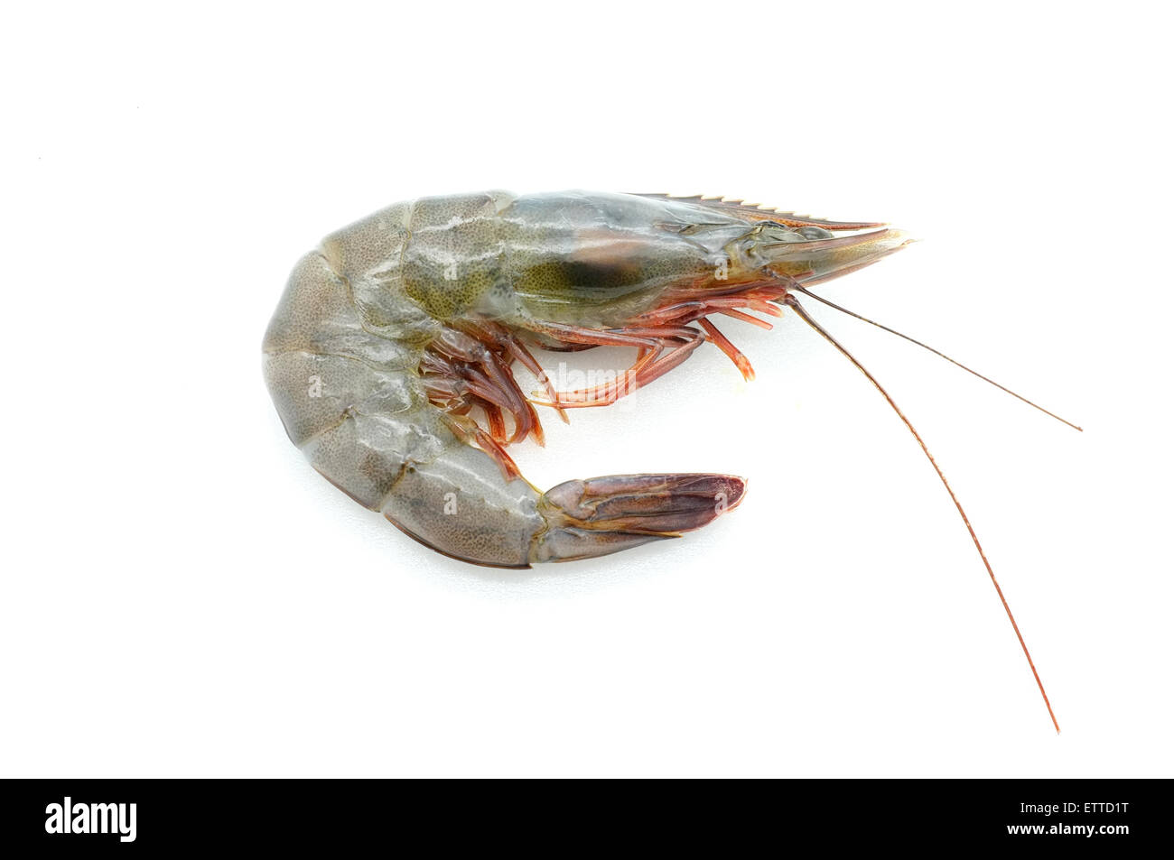 Raw / fresh shrimp / prawn / seafood / shellfish Stock Photo Alamy