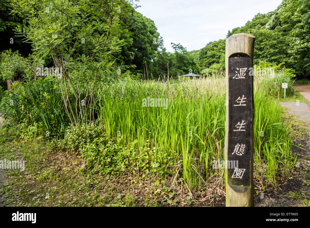 Yatoyama Park, Zama city,Kanagawa Prefecture,Japan Stock Photo Alamy