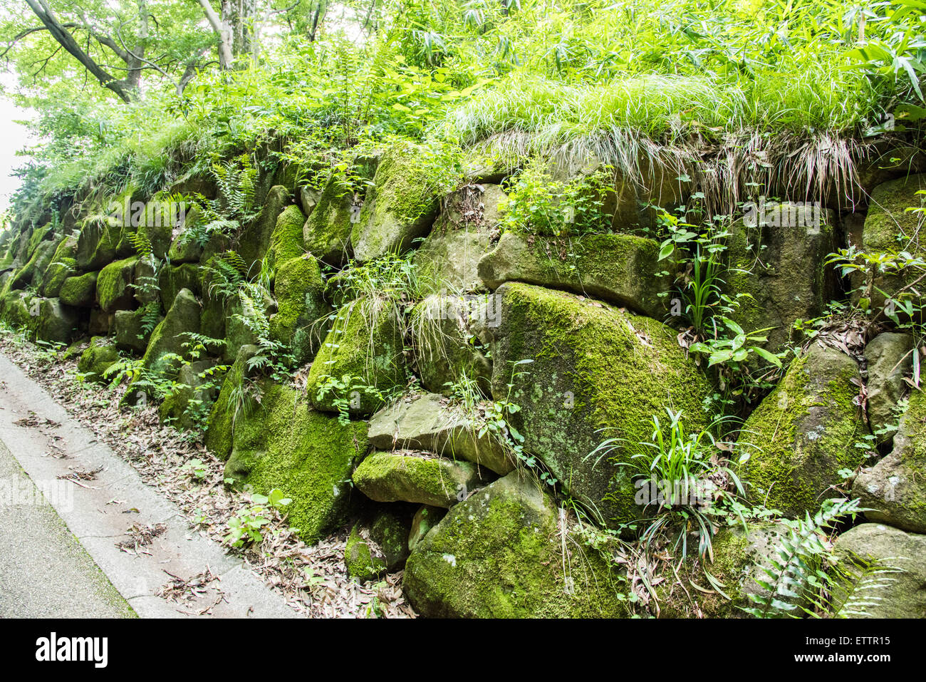 Yatoyama Park, Zama city,Kanagawa Prefecture,Japan Stock Photo Alamy