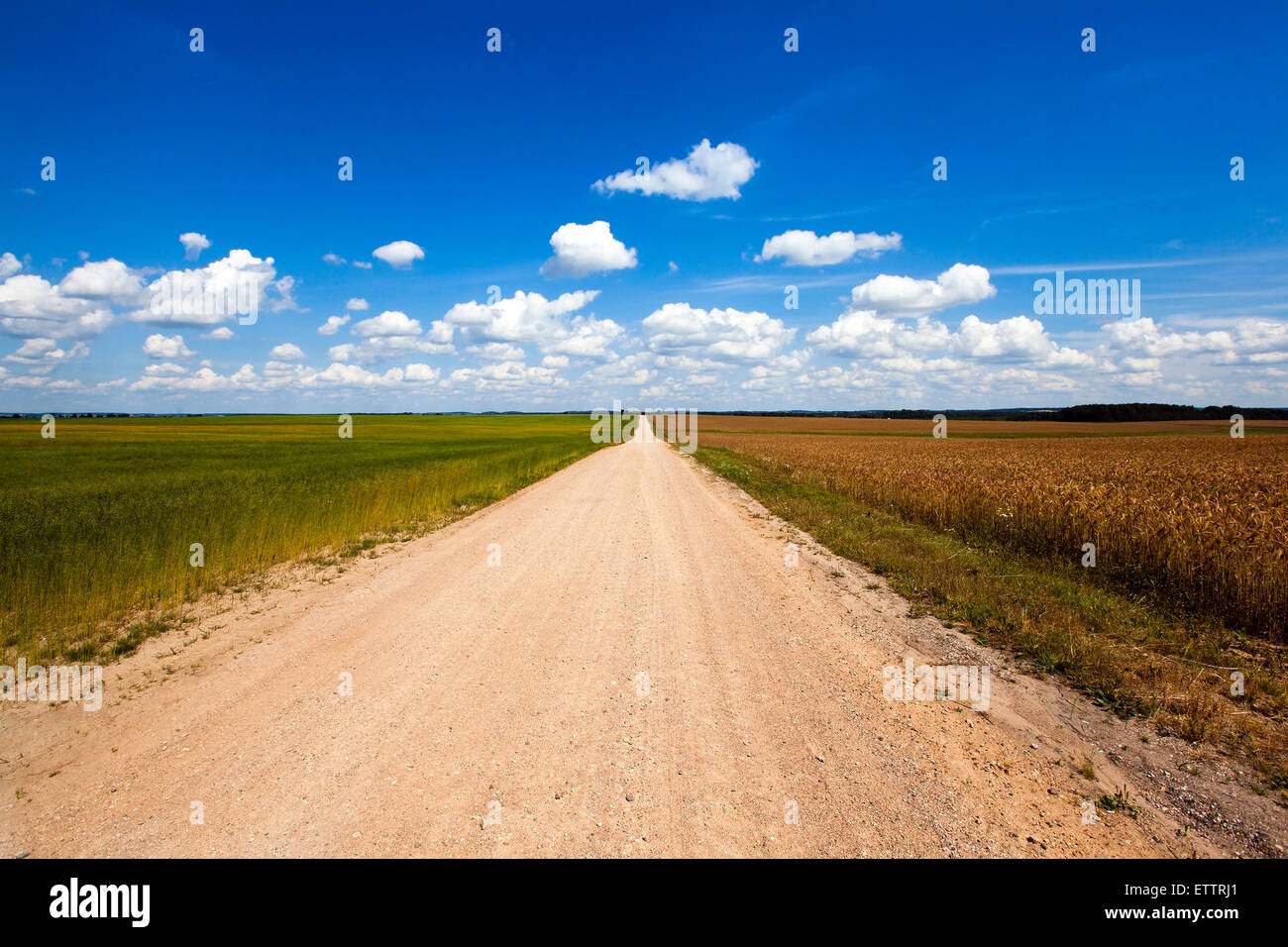 the rural road Stock Photo - Alamy