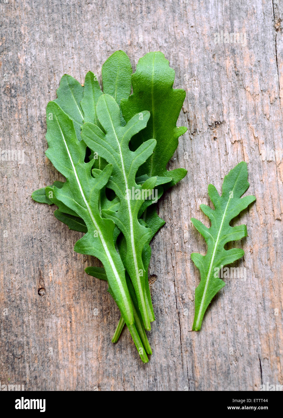 Roquette leaves hi-res stock photography and images - Alamy