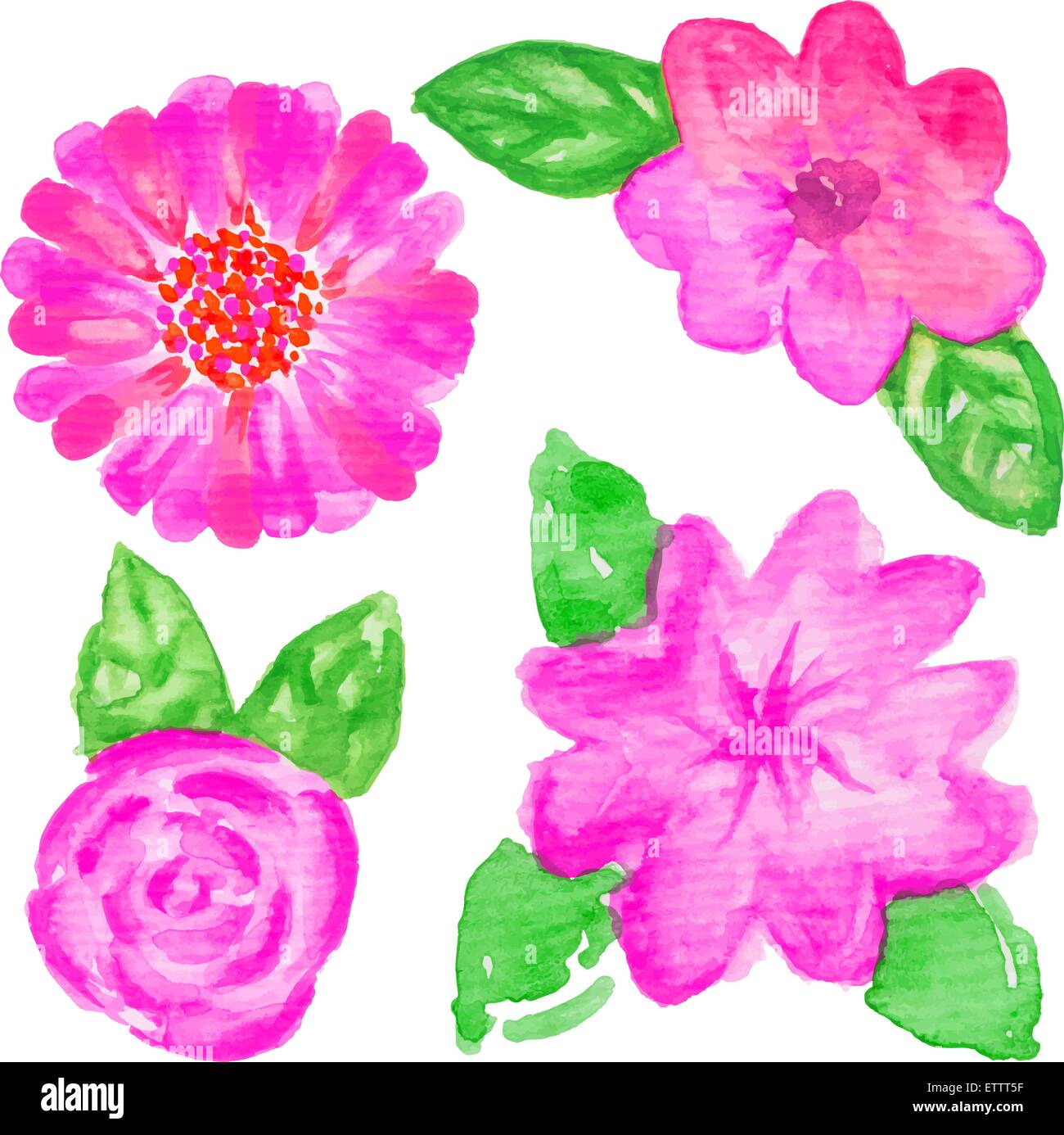 White orange spring flowers Stock Vector Images - Alamy