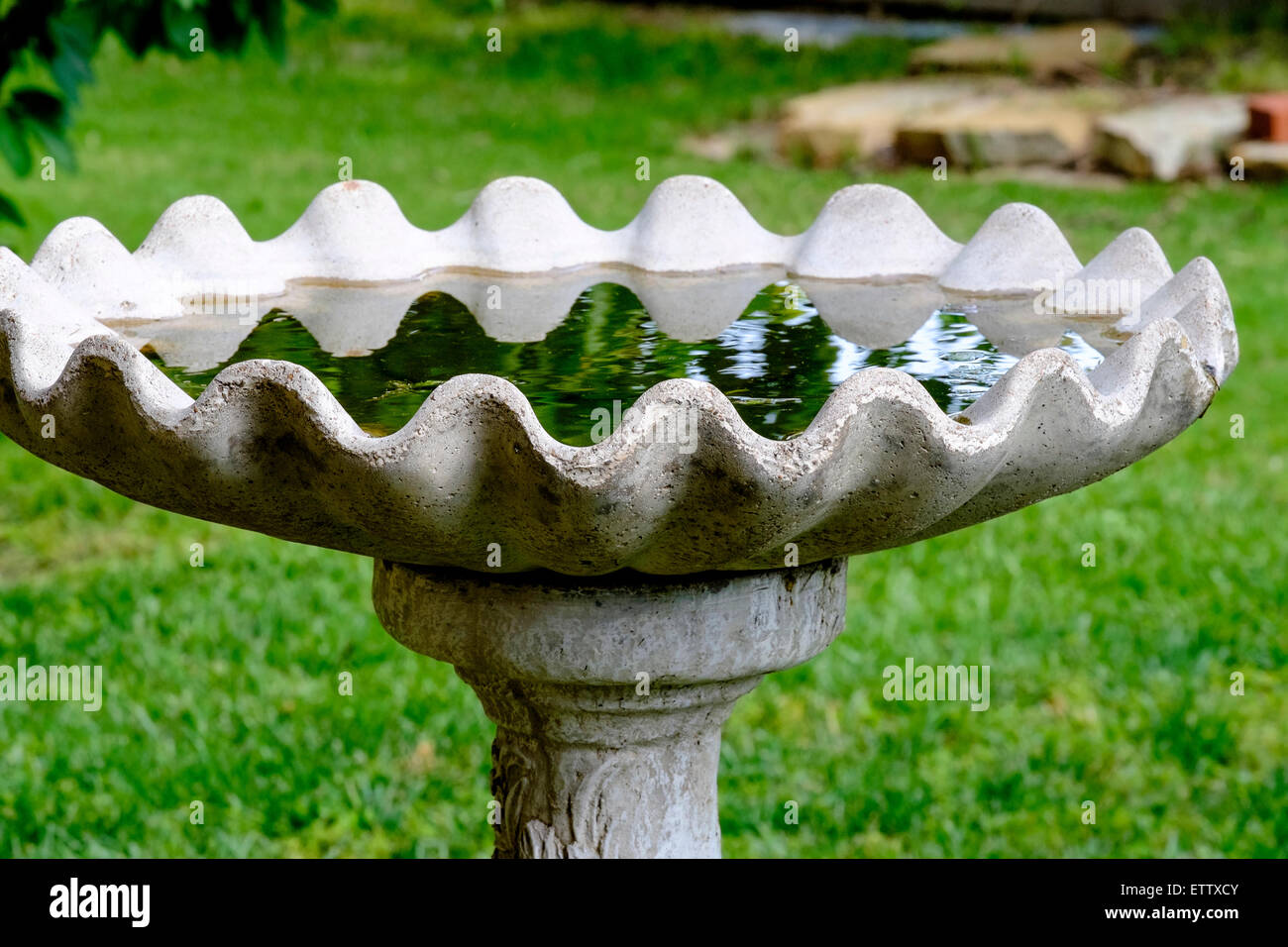 A concrete bird bath full of water in the spring. Reflection, lawn. Stock Photo