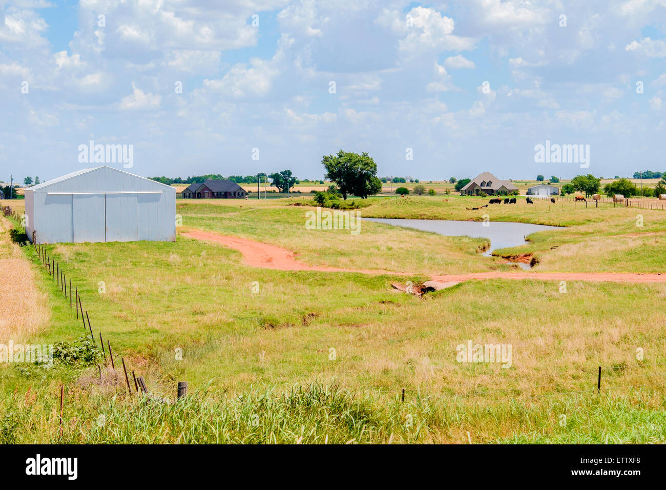 A modern farmhouse and barn, pasture, cattle and a pond. Oklahoma, USA. Stock Photo