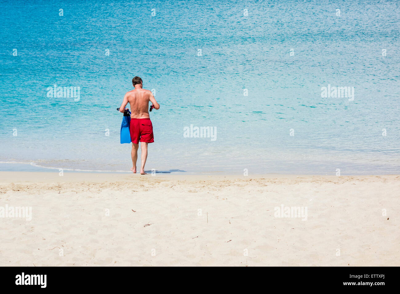 A 35 year old Caucasian man prepares to go snorkling in the Caribbean. St. Croix, US Virgin Islands. Stock Photo