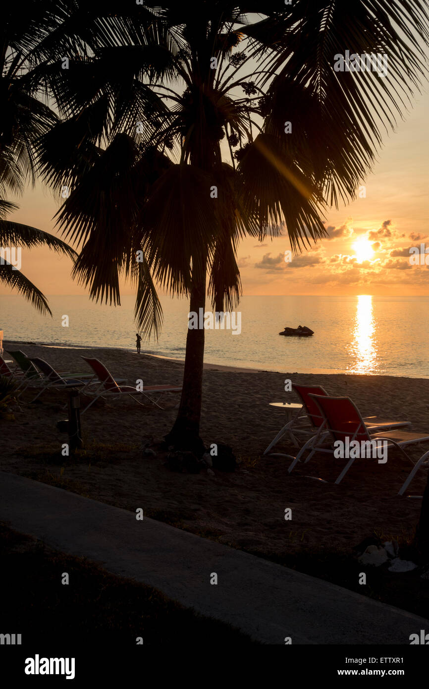 Sunset with water reflection color, showing the beach, Caribbean sea, and tropical palm trees. One person swimming. St. Croix, U. S. Virgin Islands. Stock Photo