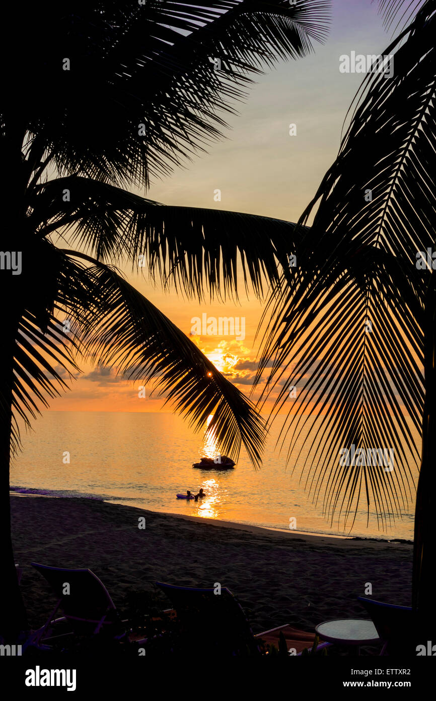 The sun sets through coconut palms over the Caribbean sea off St. Croix, US Virgin Islands. Stock Photo