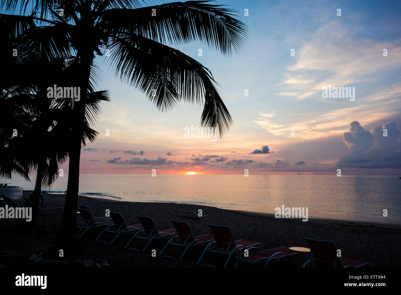 The sun sets through coconut palms over the Caribbean sea off St. Croix, US Virgin Islands. Stock Photo