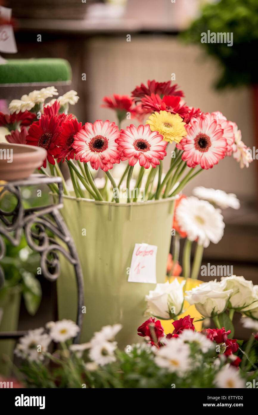 Cut flowers for sale in a plant nursery Stock Photo