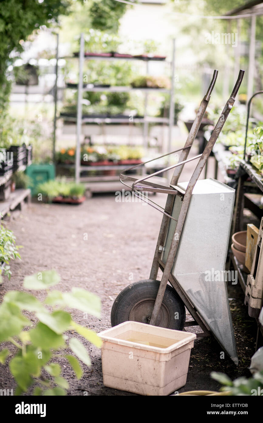 Germany, wheelbarrow in a plant nursery Stock Photo - Alamy