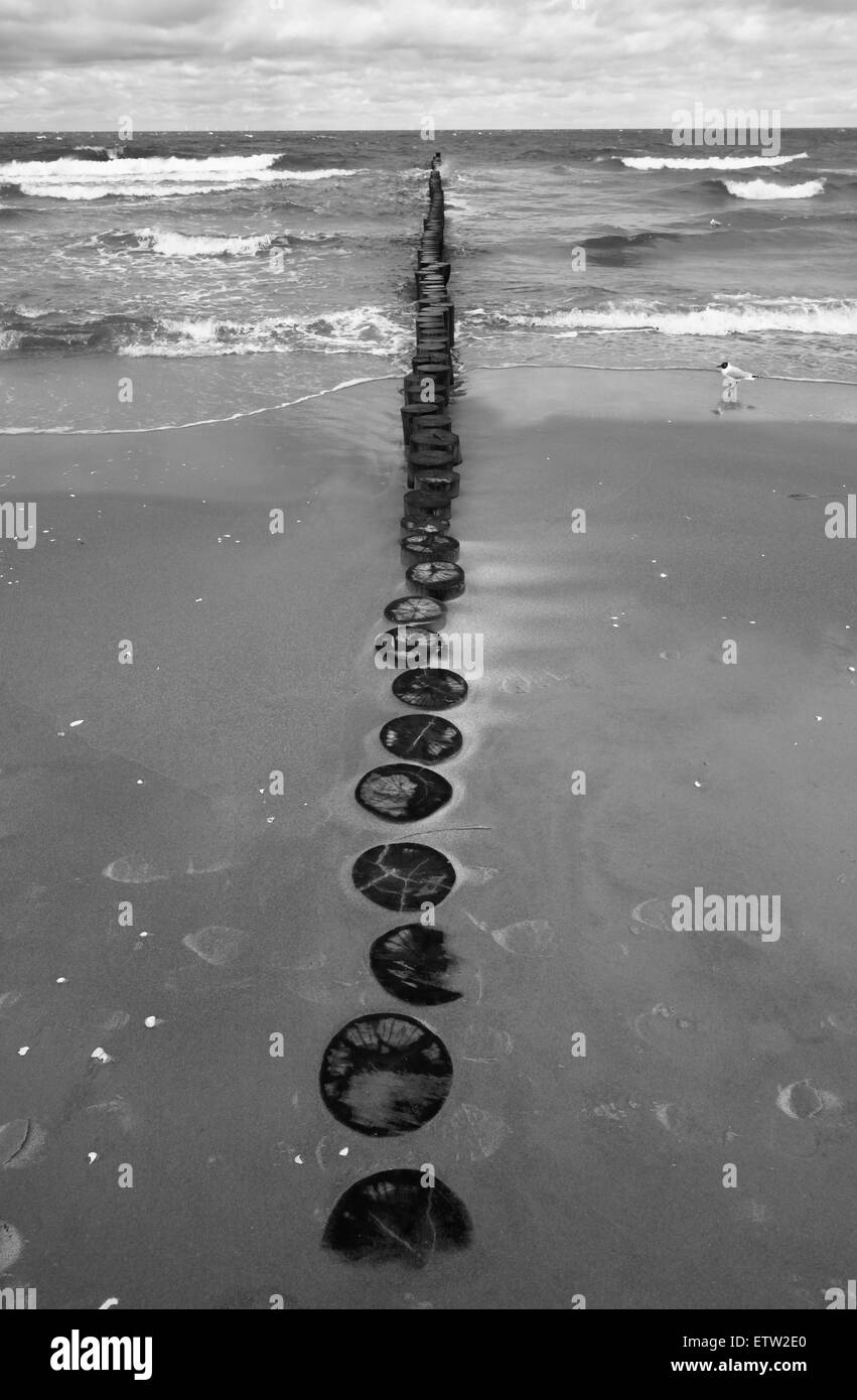 Breakwater beach baltic coast Black and White Stock Photos & Images - Alamy