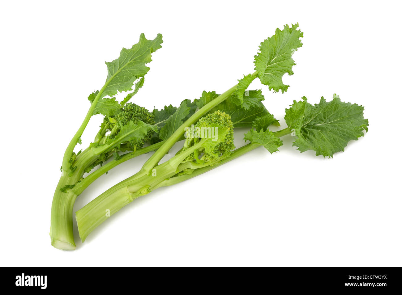 Fresh  rapini or broccoli rabe  isolated on white background Stock Photo