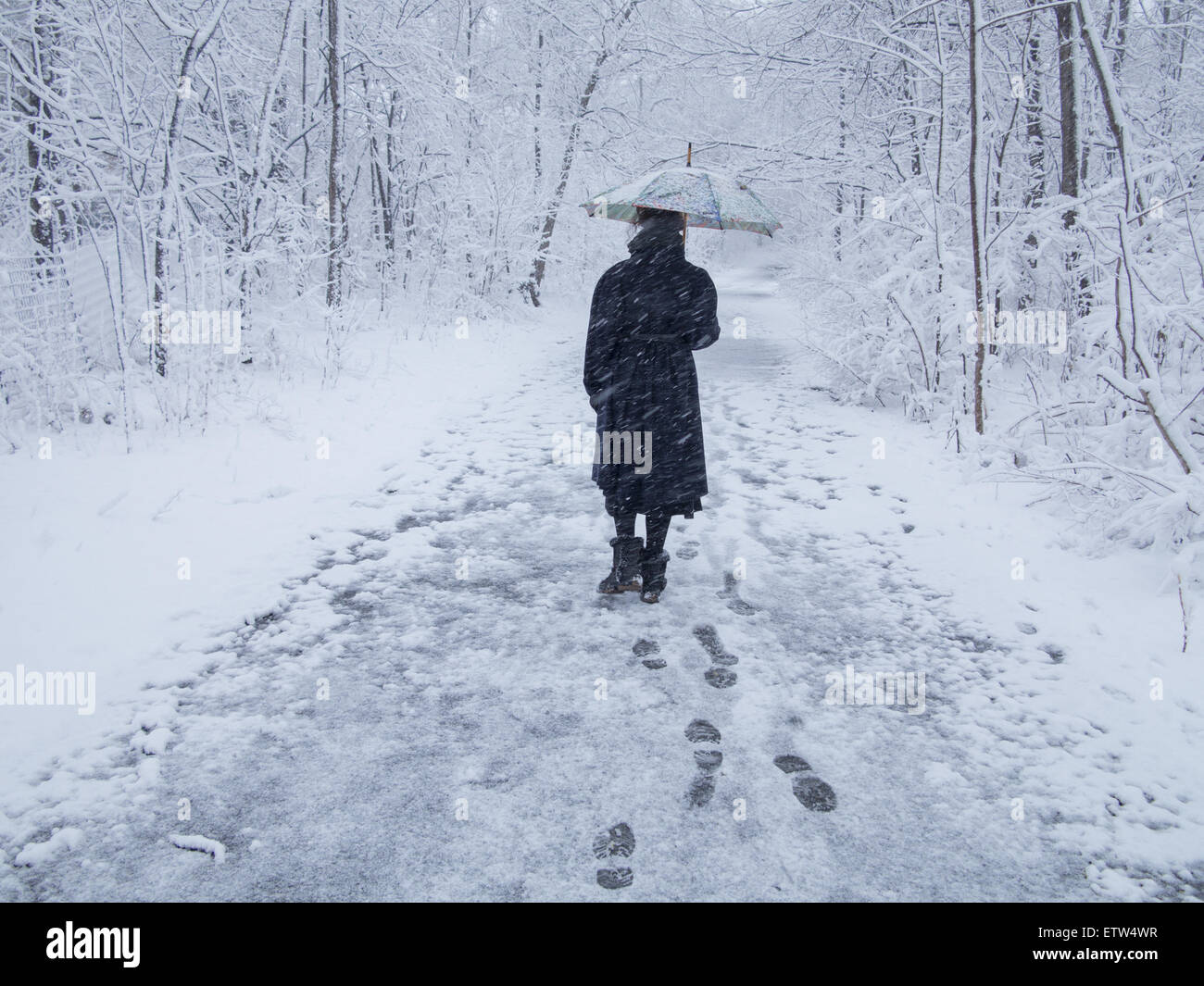 Woman walks alone through Prospect Park during a wet snow storm, Brooklyn, NY. Stock Photo