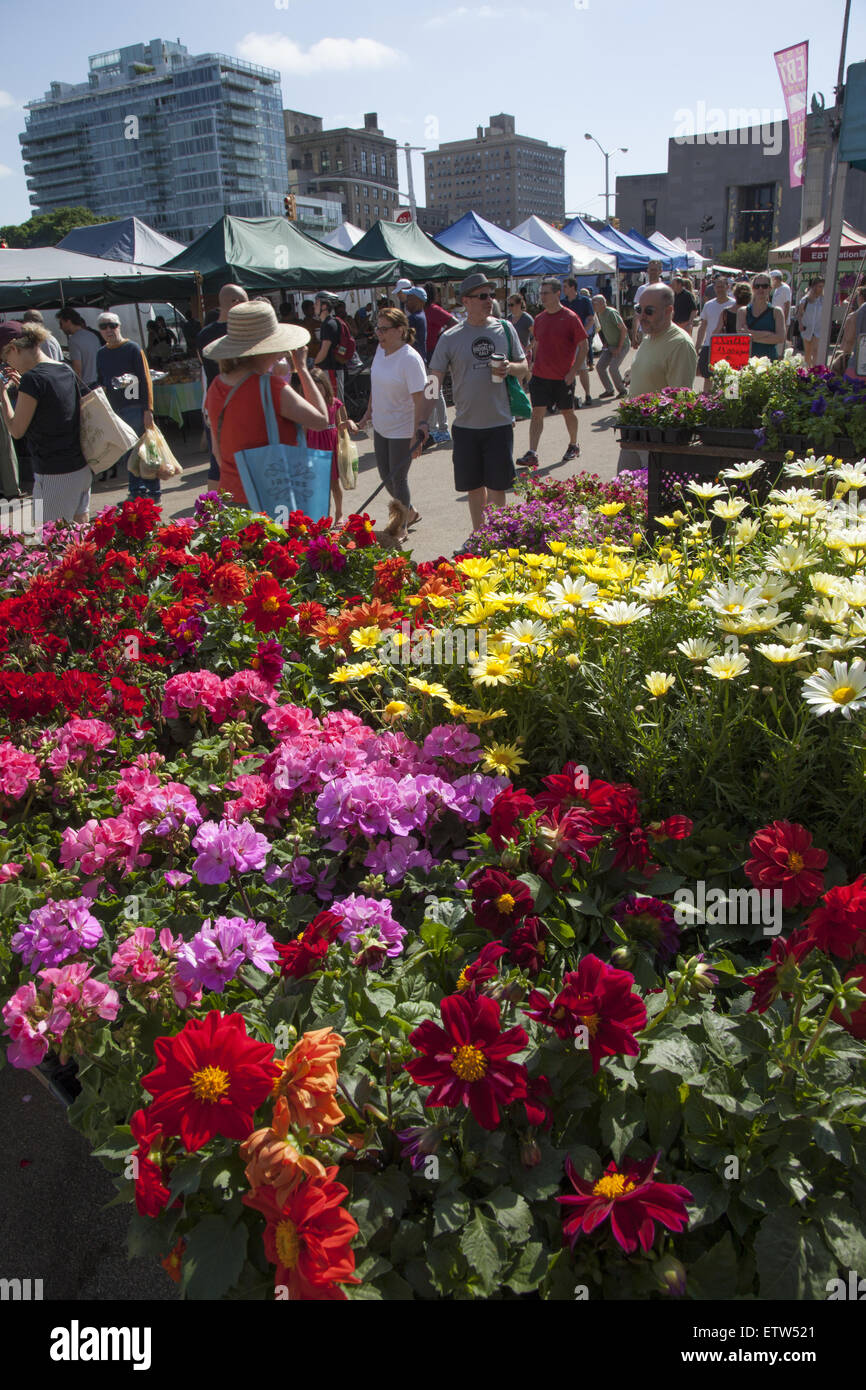 Spring flowers for sale at the Grand Army Plaza Farmers Market in Park