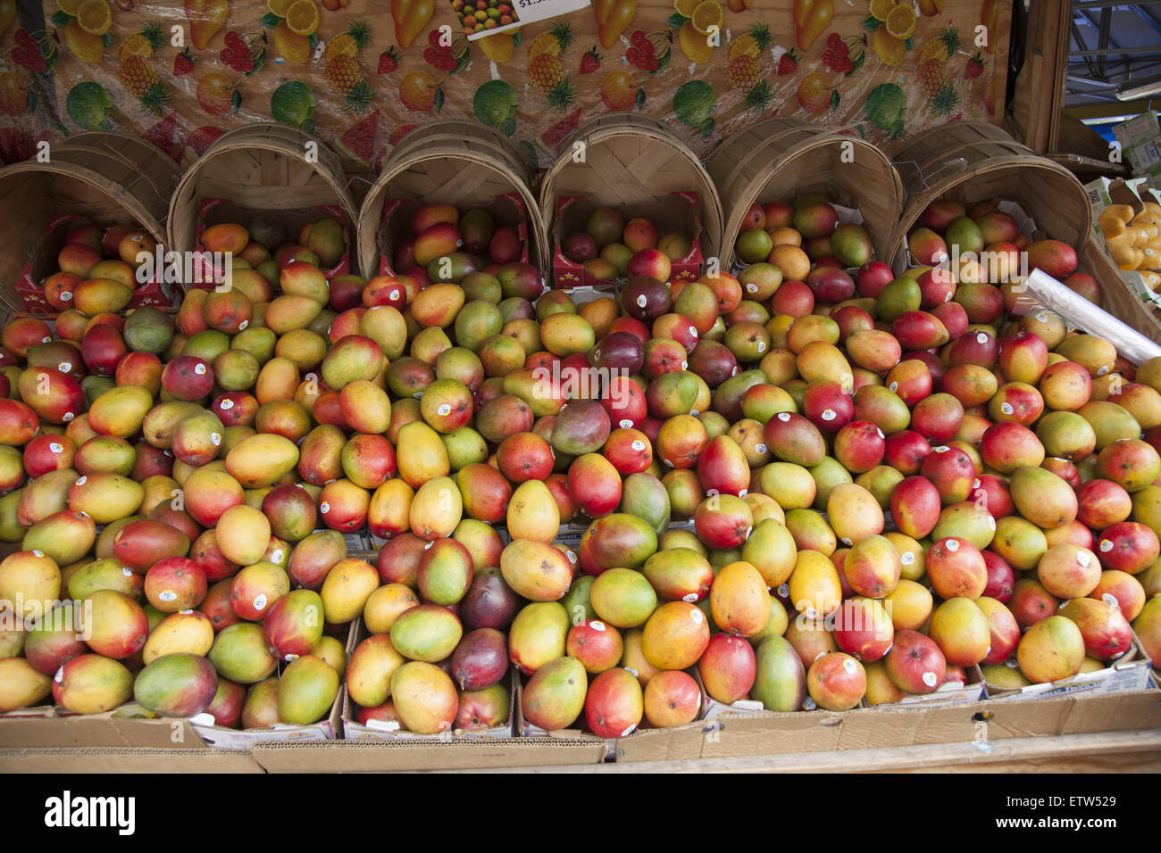Mangos for sale at a produce market on Church Avenue in the Kensington neighborhood of Brooklyn, NY. Stock Photo