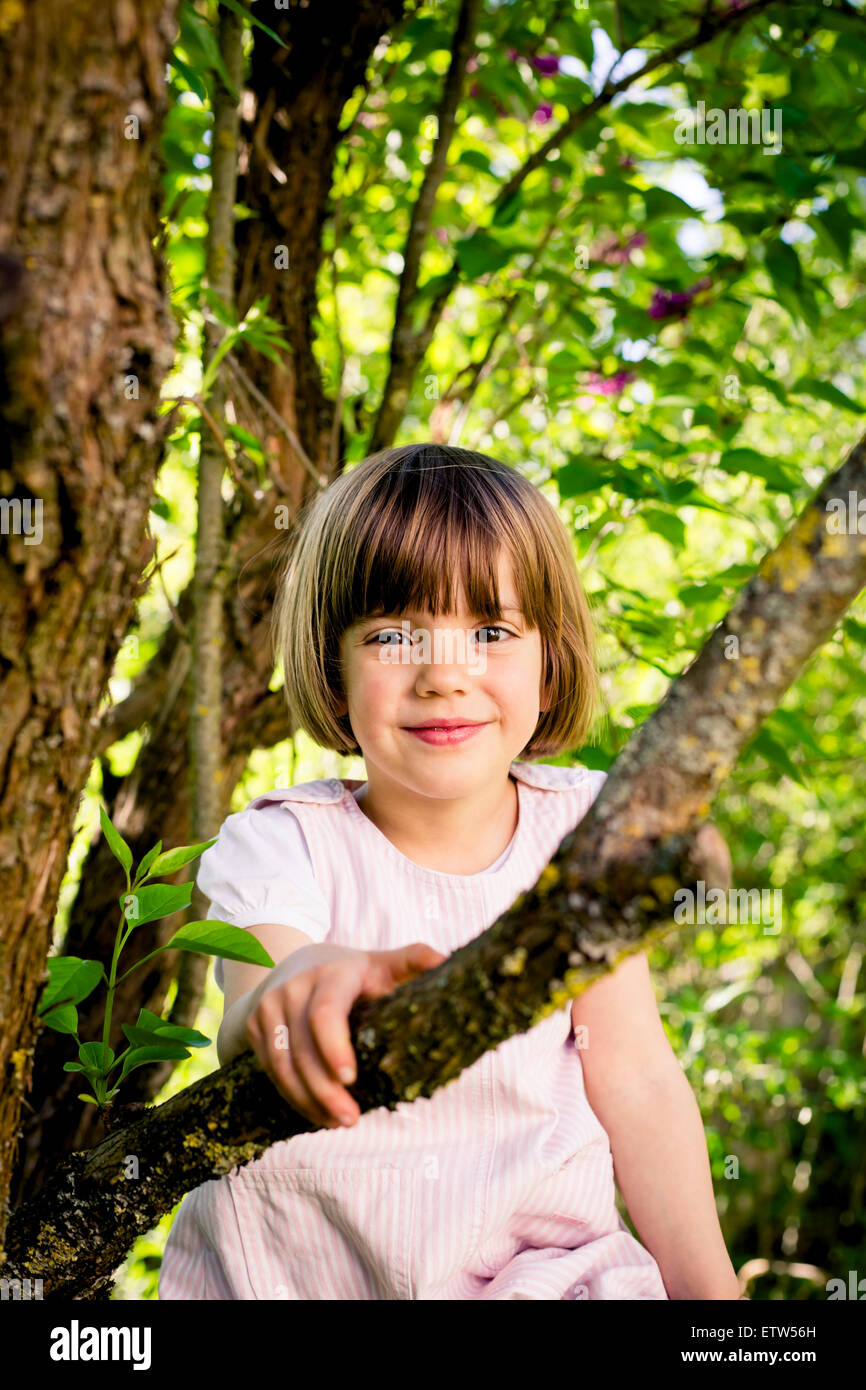 Portrait of smiling little girl climbing in a tree Stock Photo - Alamy
