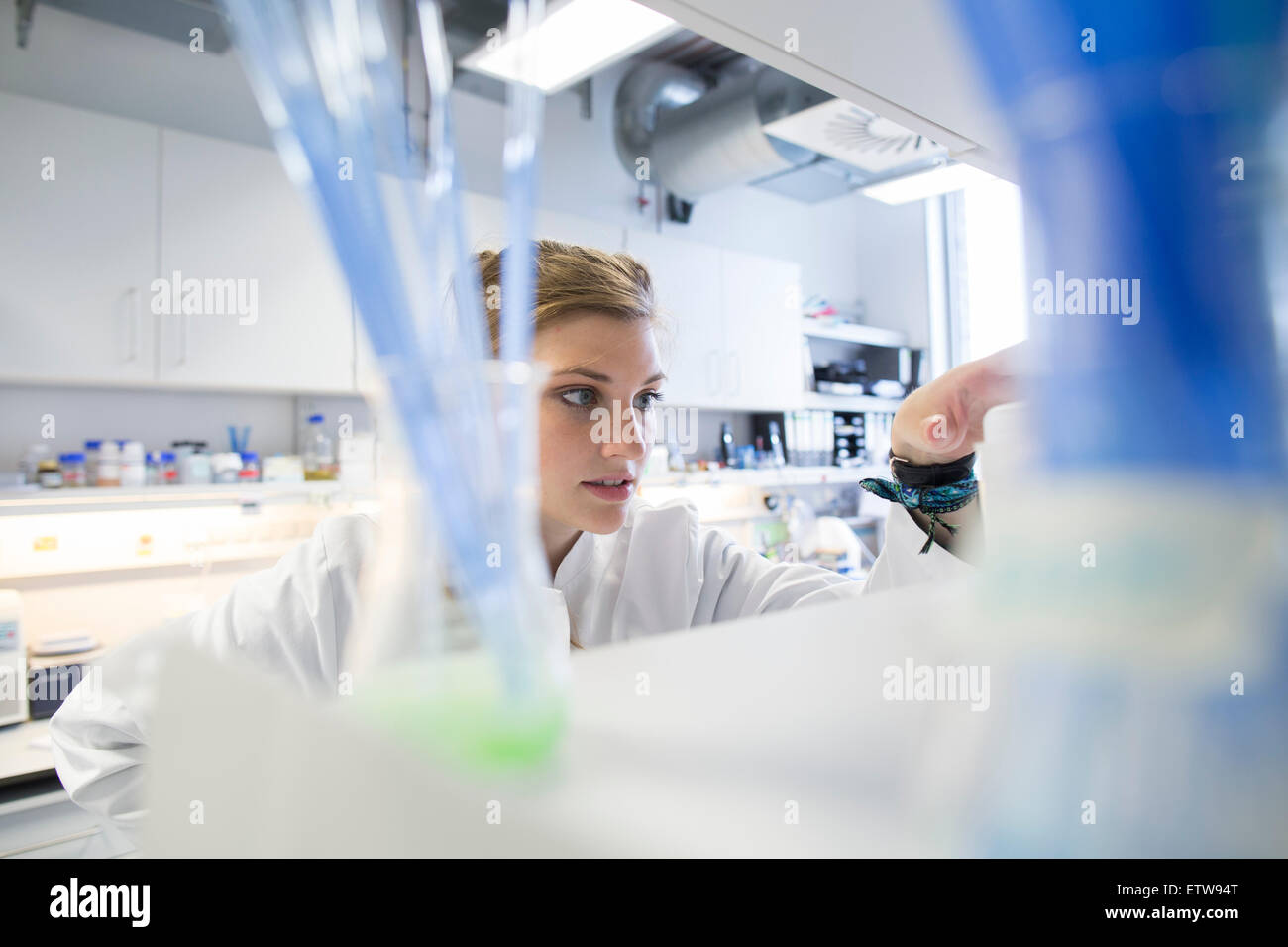 Young female scientist working at biological laboratory Stock Photo - Alamy