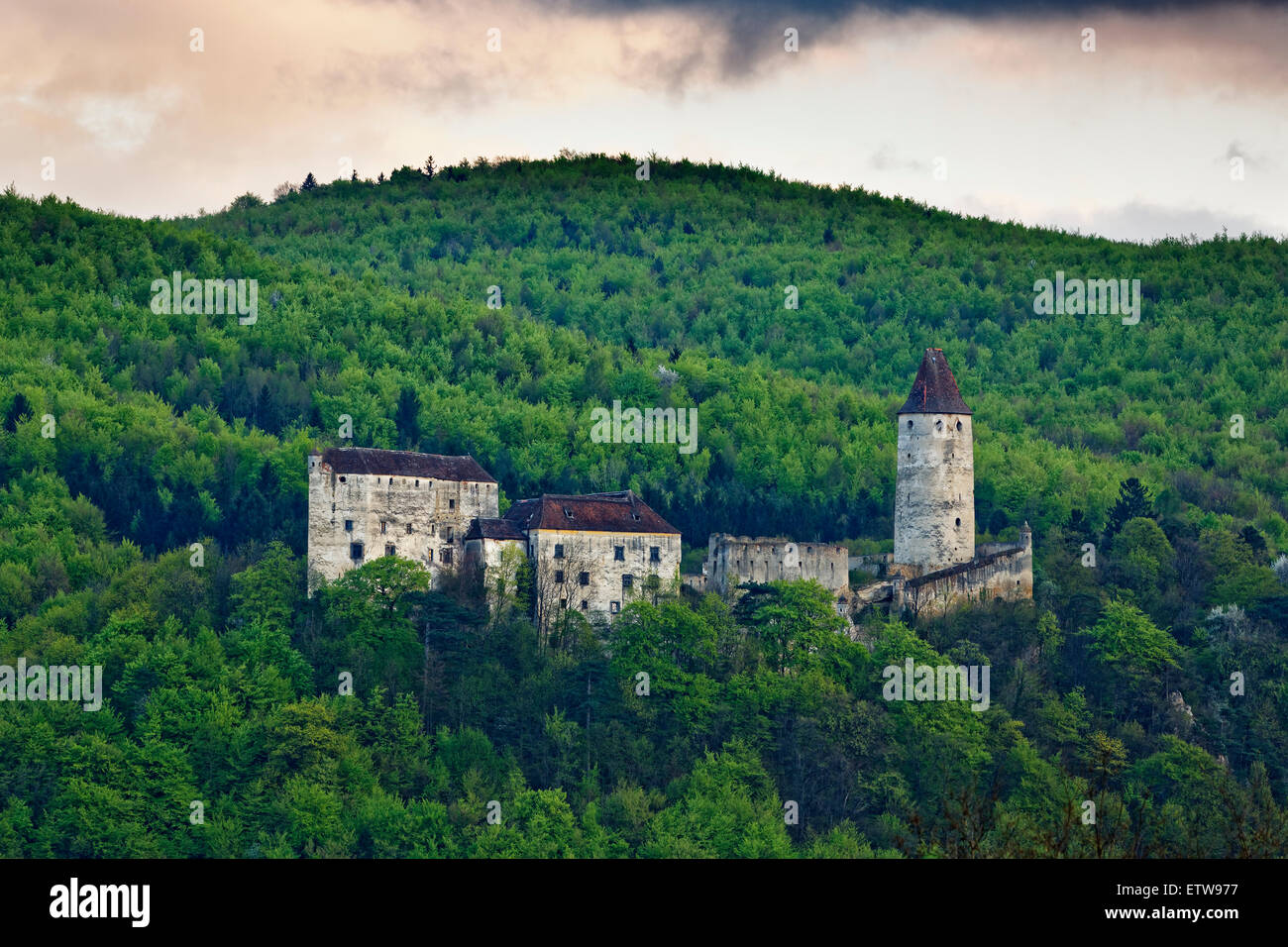 Austria, Lower Austria, Bucklige Welt, Burg Seebenstein Stock Photo