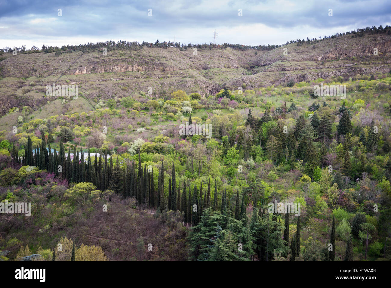 tbilisi botanical garden hires stock photography and images
