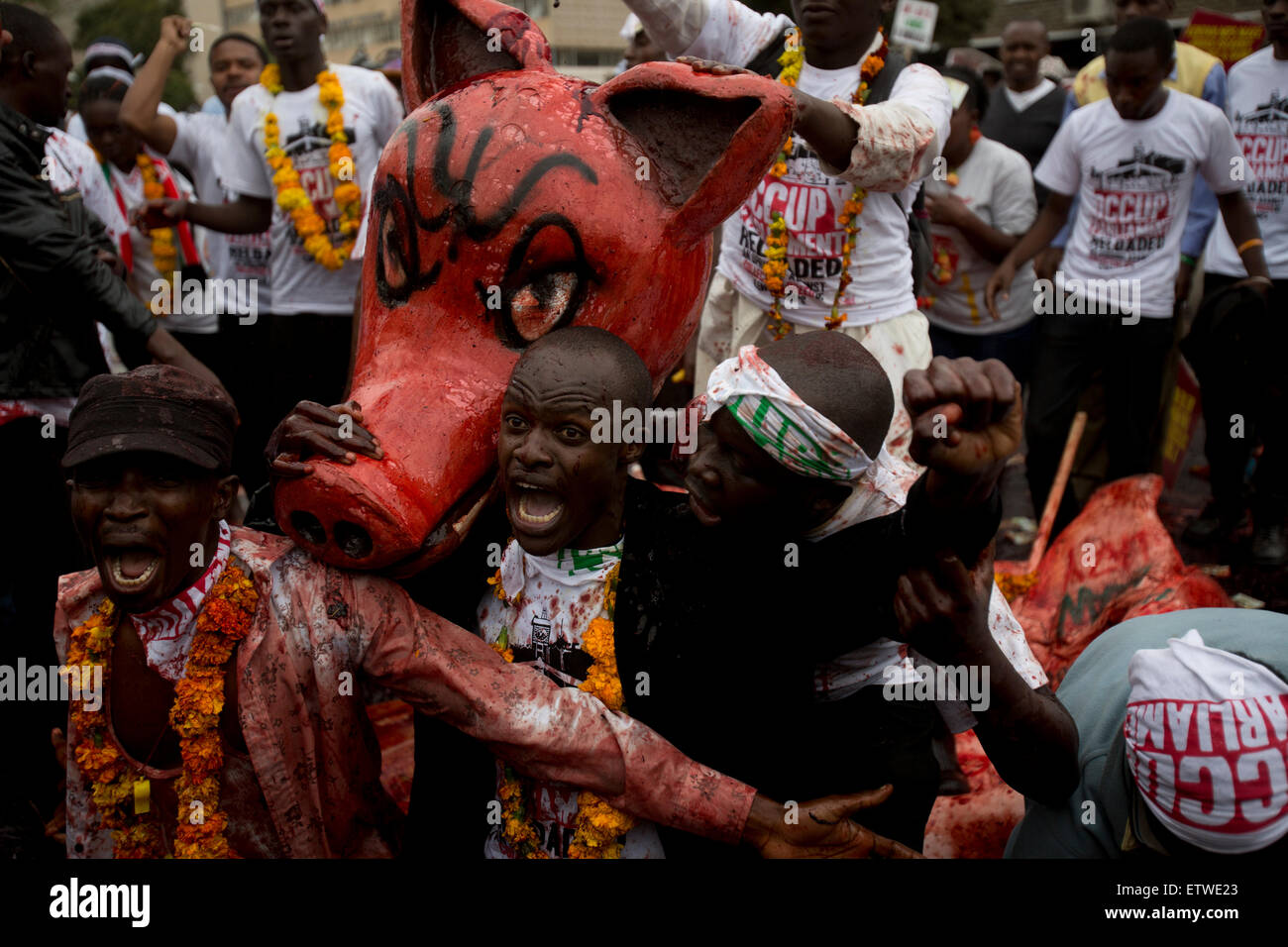 Kenyan protestors cover themselves with animal blood symbolising greed outside parliament during a protest over Members of Parliaments salaries, 11 June 2013 Kenyan MP's have voted to allow them a pay increase in defiance of proposals to cut pay. Kenyan MP's are already one of the higest paid in the world.The MP's voted  for a monthly salary of about $10,000 (£6,540).KAREL PRINSLOO. Stock Photo