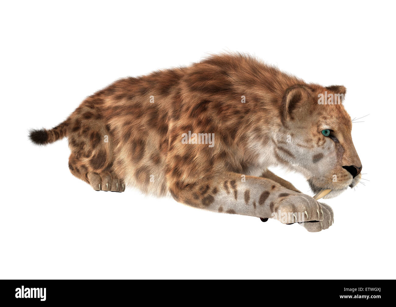 Digitally rendered big wild cat, red tiger, 3D Illustration Stock Photo -  Alamy