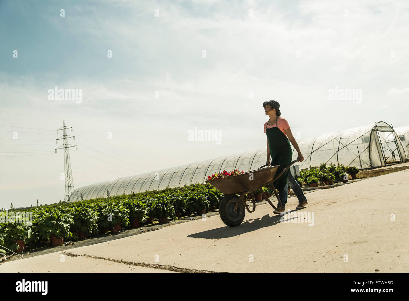 Woman pushing wheelbarrow at a nursery Stock Photo - Alamy