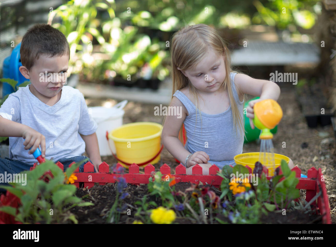 Little boy and girl gardening and watering plants Stock Photo - Alamy