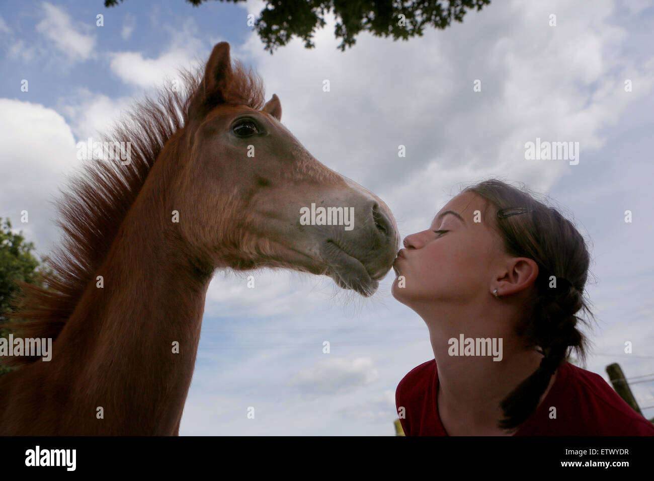 Werl, Germany, girl kisses a foal Stock Photo