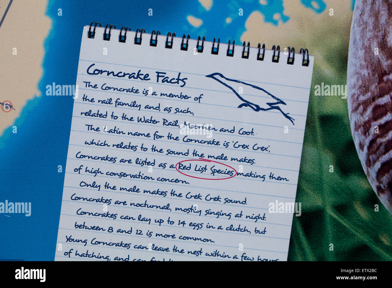 Corncrake Facts - an impression of hand written notes as a part of an composite information sign, for visitors to Iona. Scotland Stock Photo