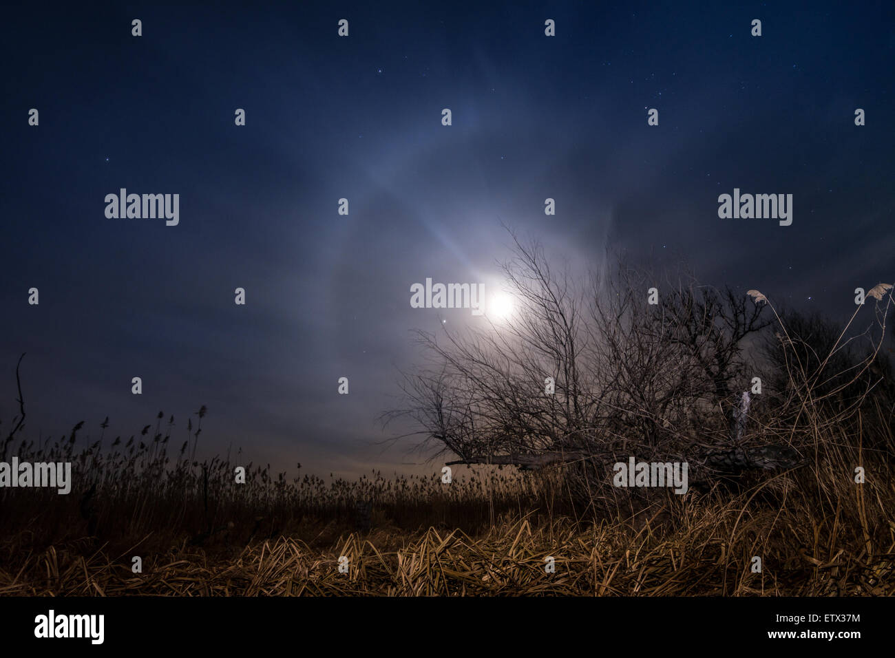 Chasing the moon - night full moon landscape background Stock Photo