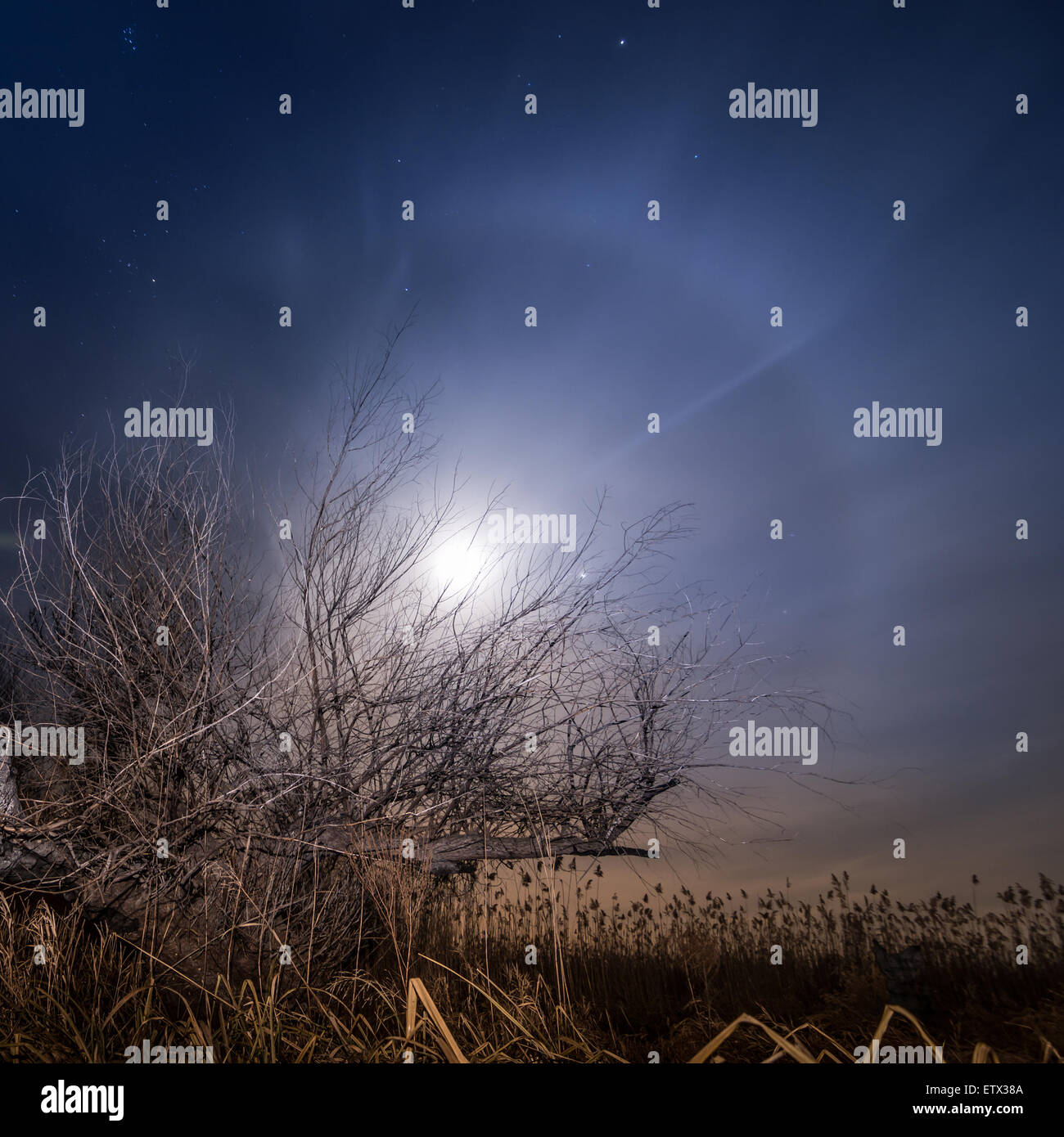 Chasing the moon - night full moon mystical landscape background Stock Photo