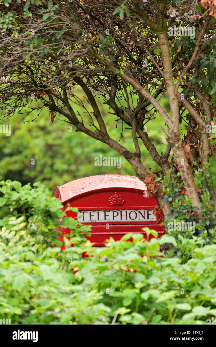Red Telephone Booth in Park Stock Photo