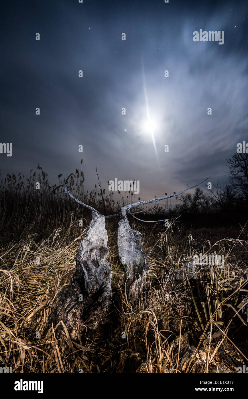 Halo Ray Of The Moon Night Full Moon Mystical Landscape Background Stock Photo Alamy