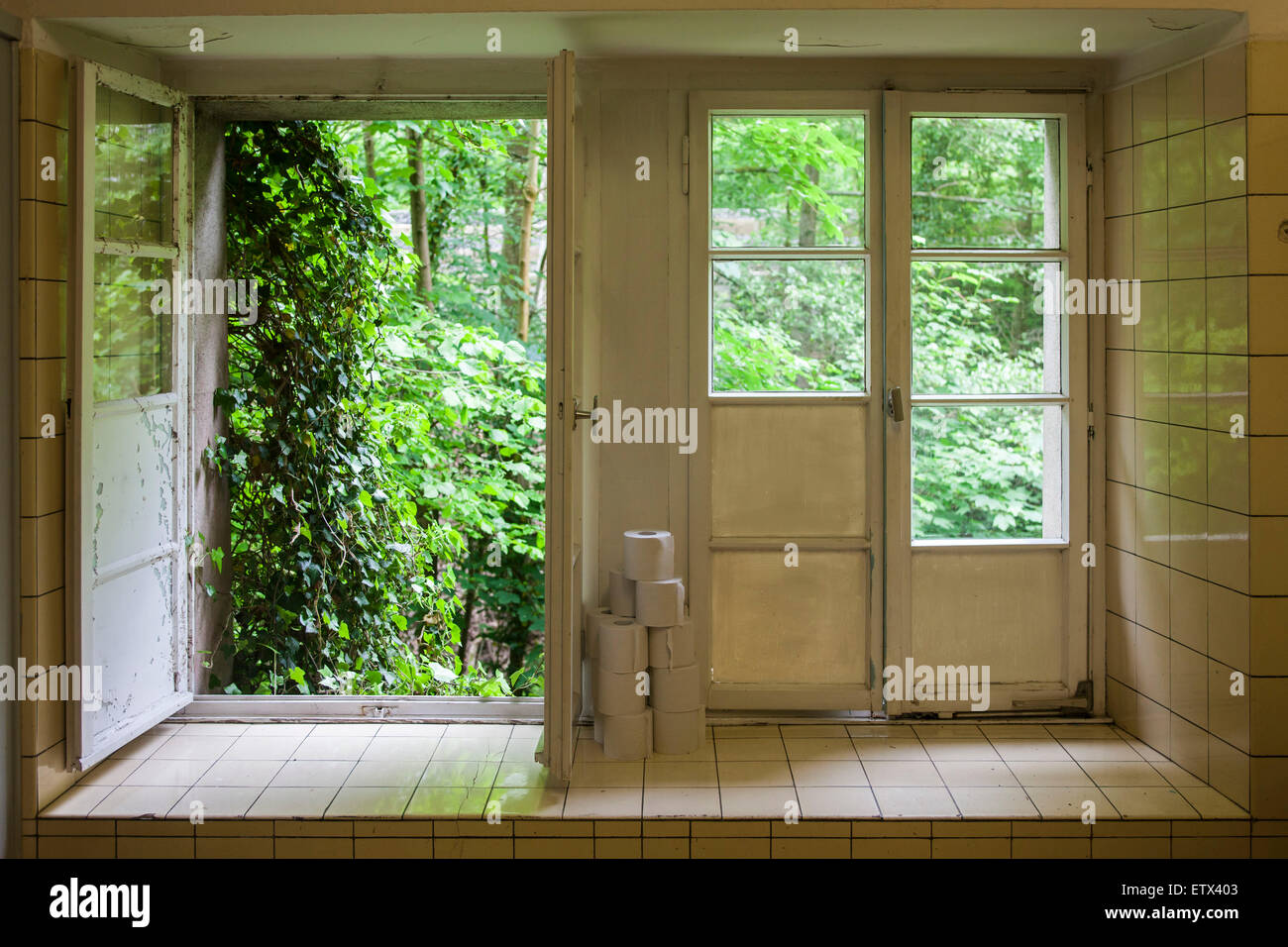 Europa, Deutschland, Rollen mit Toilettenpapier auf einer Fensterbank einer oeffentlichen Toilette.  Europe, Germany, rolls with Stock Photo