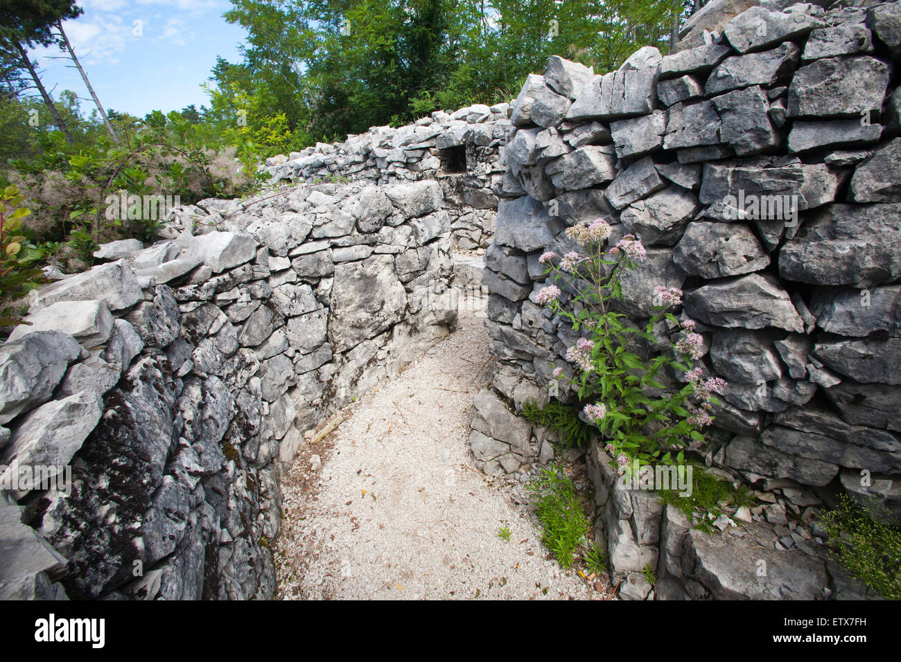 Trincea Of The Brestovec Mountain Area San Martino Del Carso Sacrado Province Gorizia Friuli Venezia Giulia Italy Europe Stock Photo Alamy
