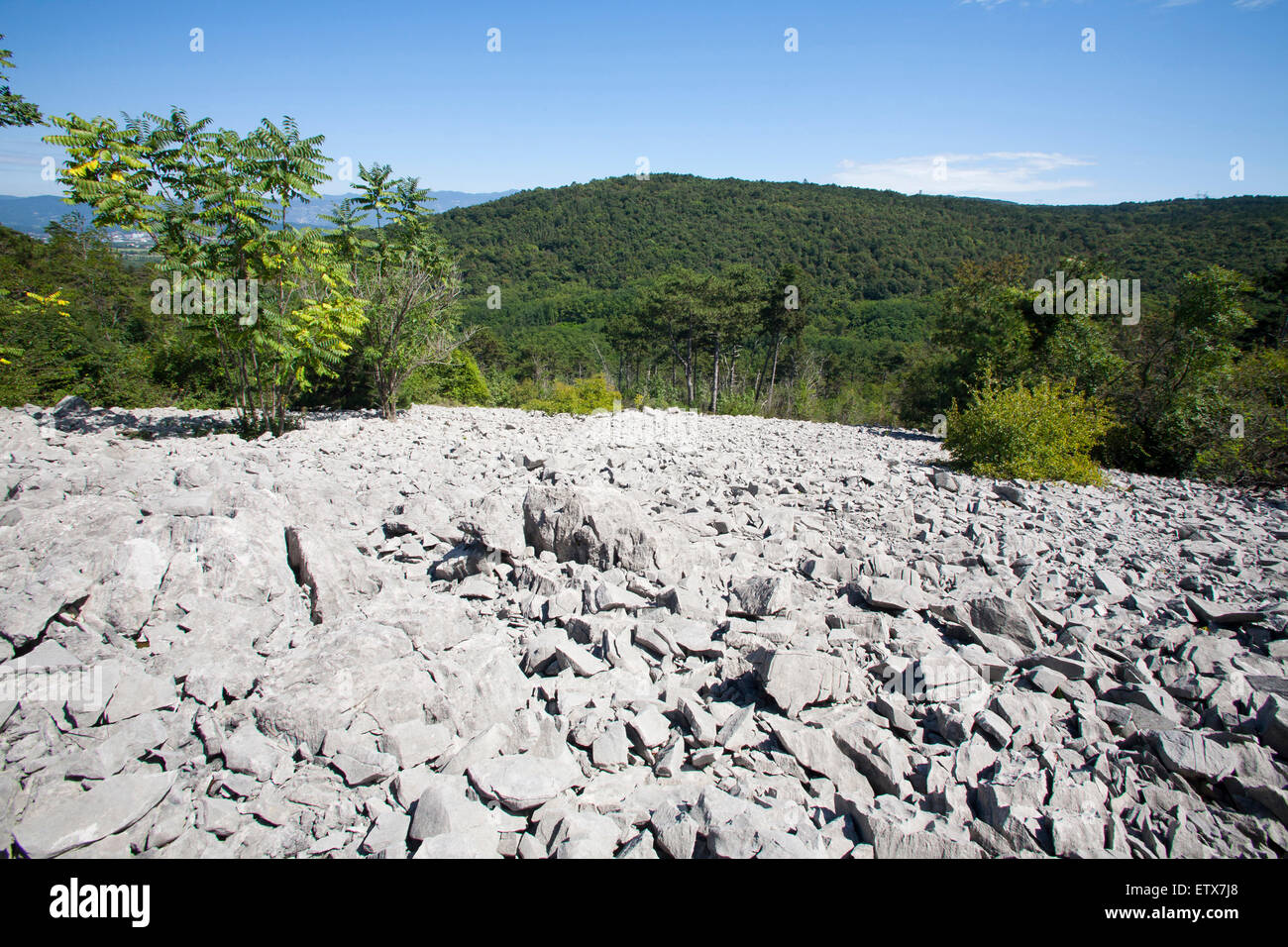 landscape, brestovec mountain, area san martino del carso, sacrado, province of gorizia, friuli venezia giulia, italy, europe Stock Photo