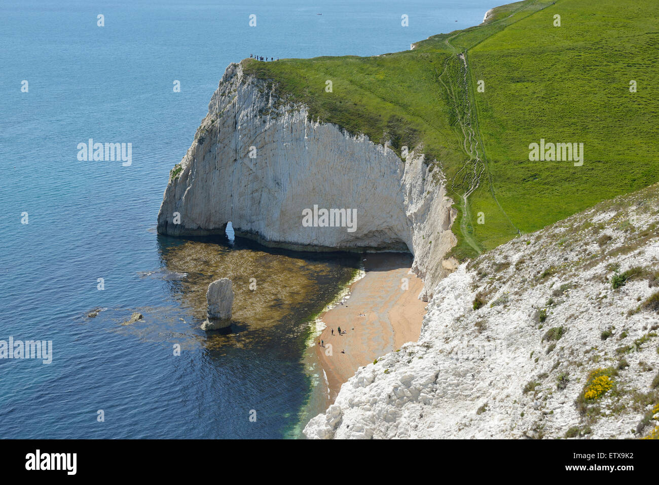 Chalk Cliffs of Bat's Head & Butter Rock viewed from Swyre Head, Dorset