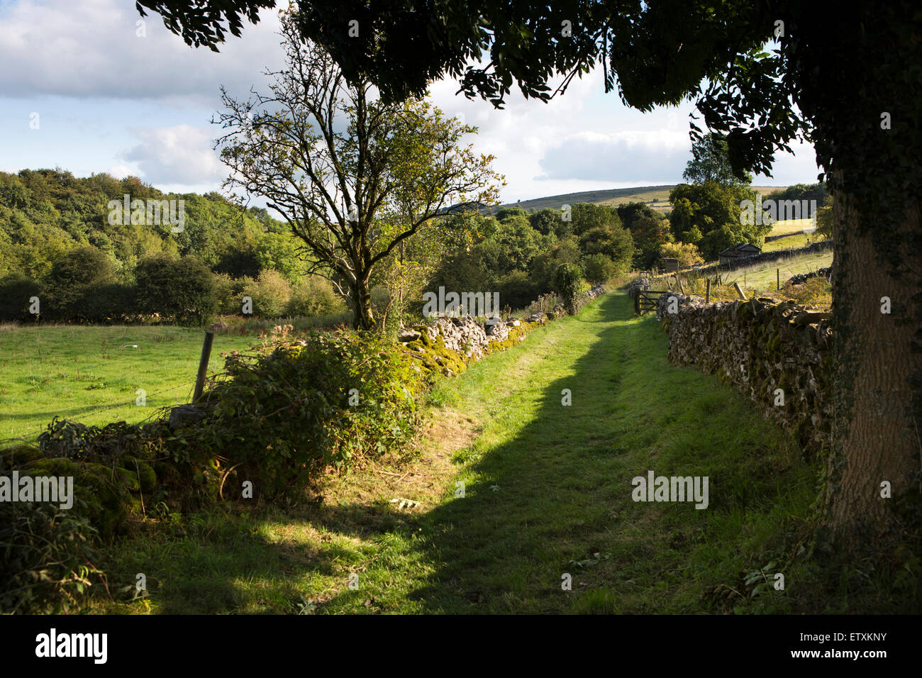 UK, England, Derbyshire, Eyam, old green lane to Cucklet Delf used for plague period services Stock Photo