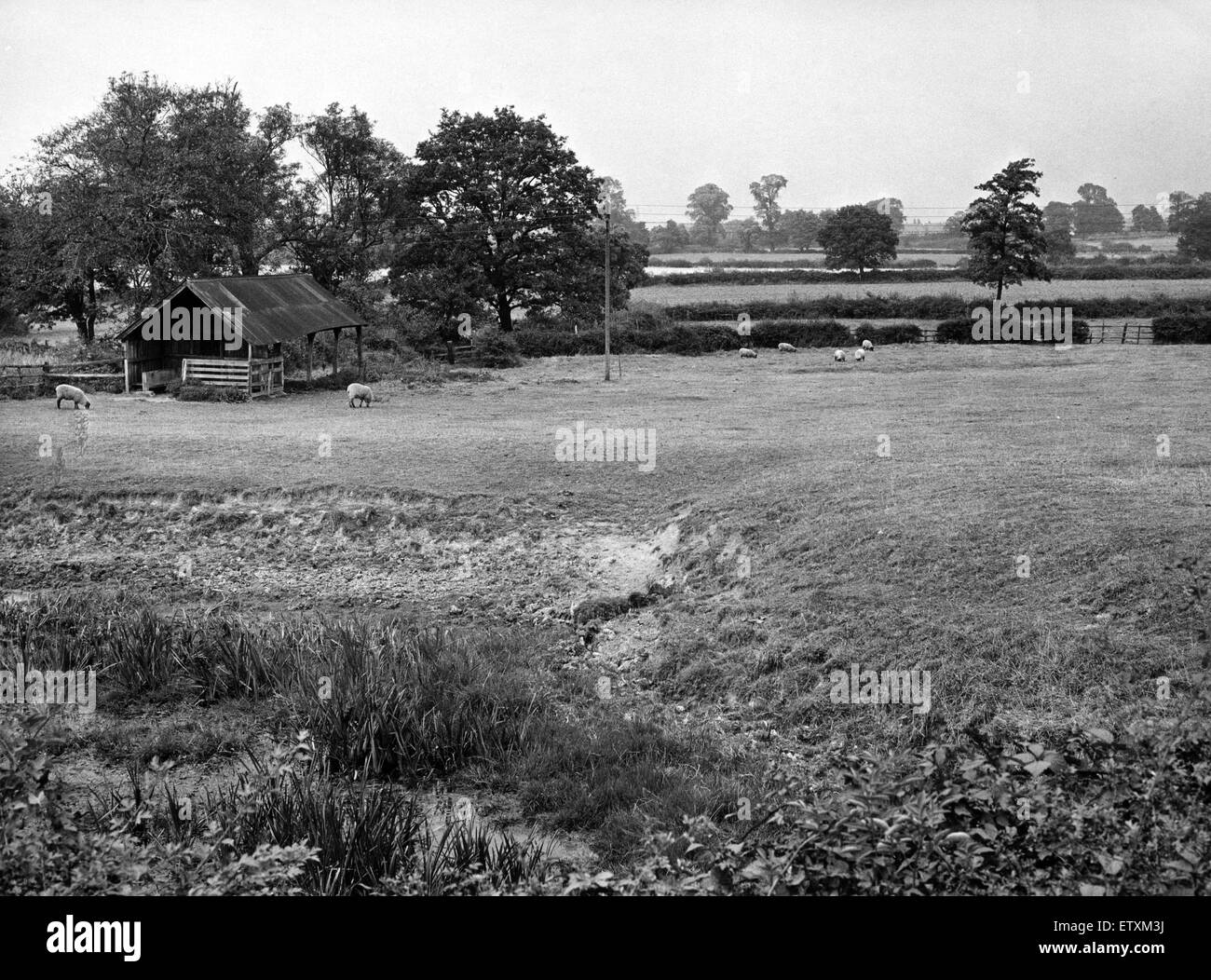 Part of Tocil House farm. 8th October 1964. Stock Photo