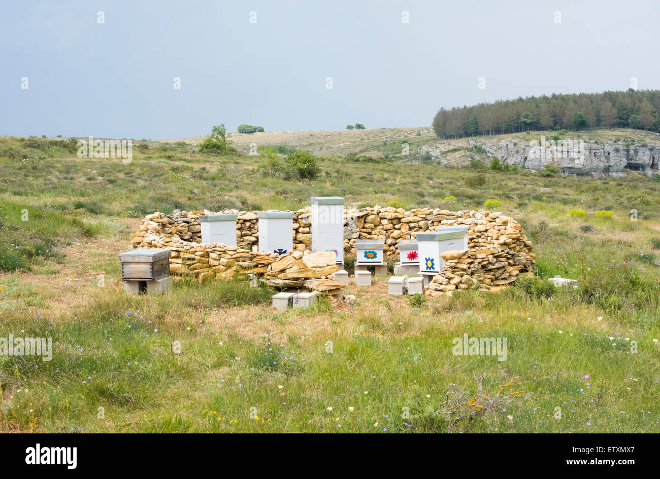 Bee hives in field in Spain Stock Photo