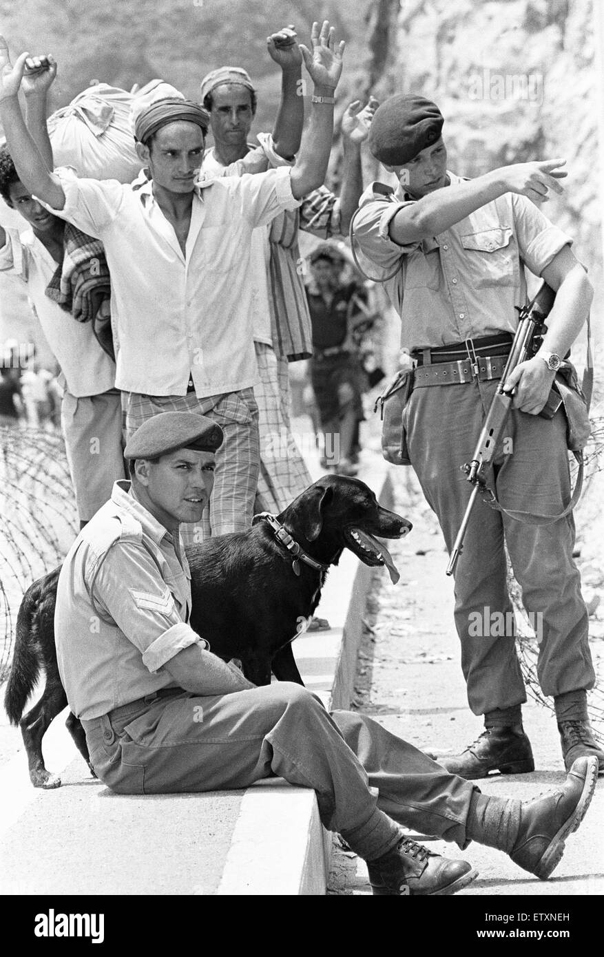 Oscar the four year old labrador adopted by Zulu Company of the Royal Marines seen here on patrol in the Radfan Mountains, Aden. Soldiers from 45 Commando are seen here directing suspected insurgents whilst Oscar looks on. 30th June 1967 Stock Photo
