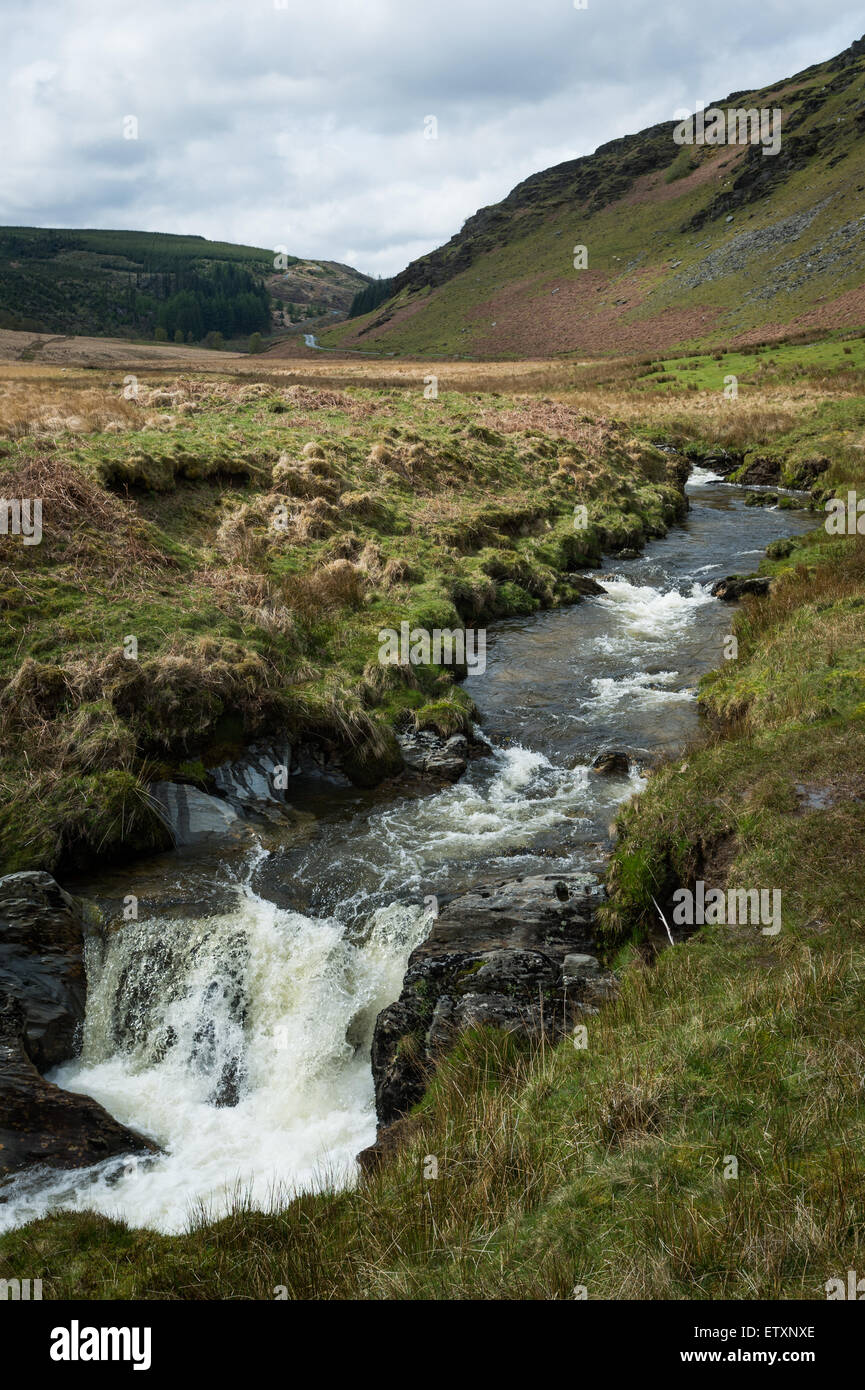Afon Irfon (River Irfon), Nant Irfon Valley, Abergwesyn Common