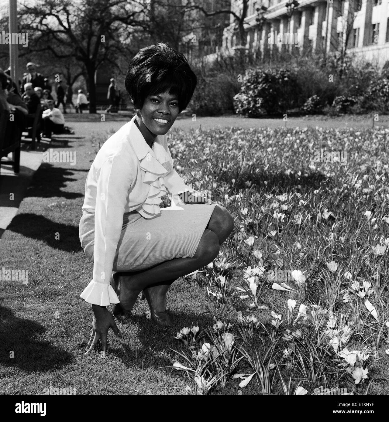 American singer Dionne Warwick enjoying the sunshine in the Embankment Gardens, amongst the crocuses. London, 29th March 1965. Stock Photo