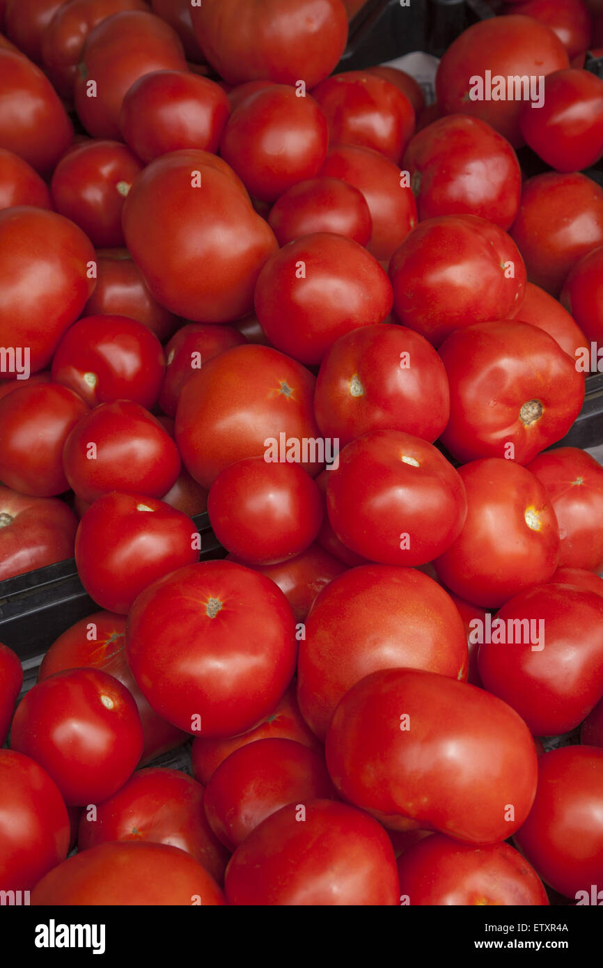Juicy tomatoes for sale at a Farmers Market, Brooklyn, NY Stock Photo ...