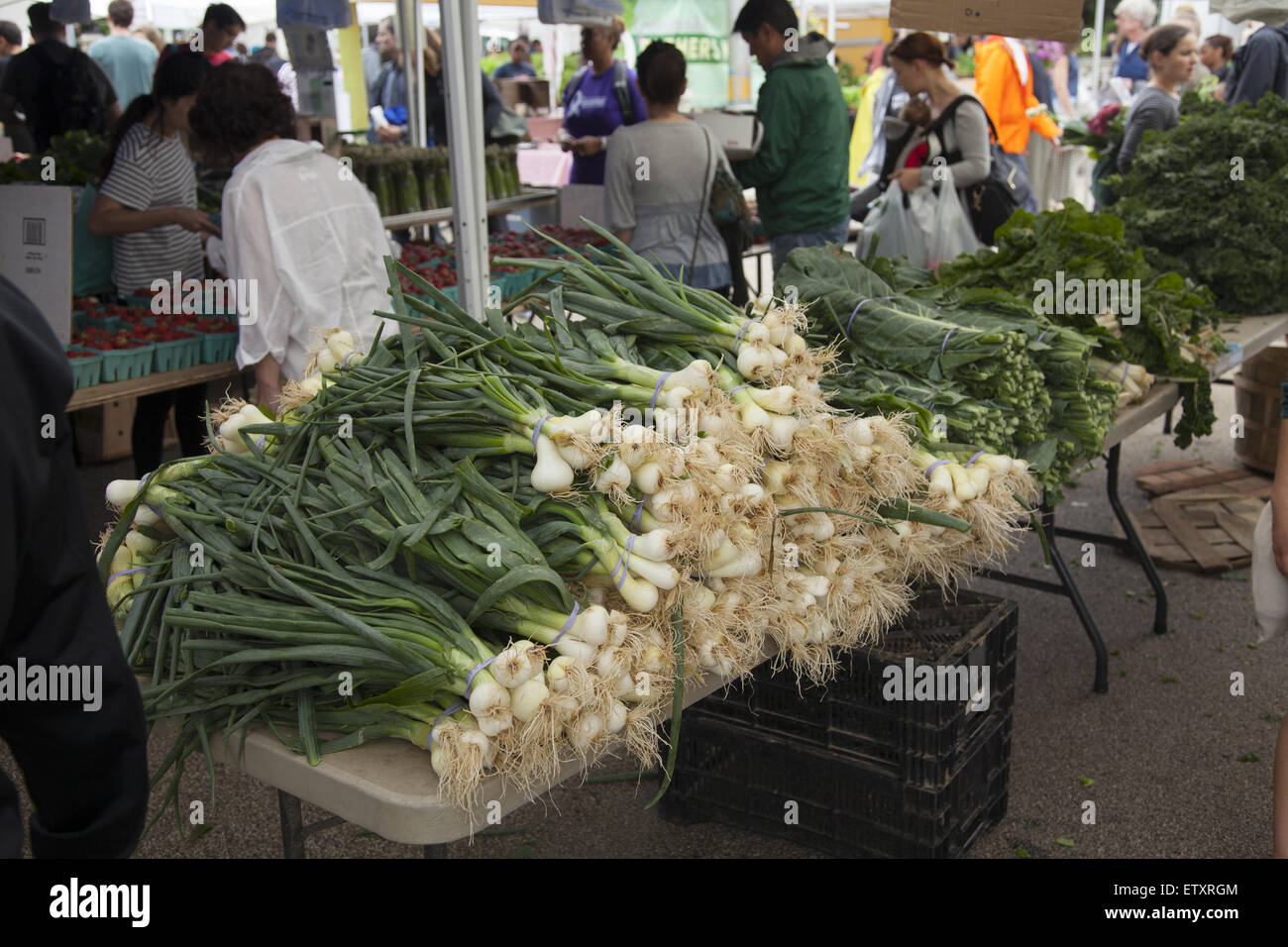 Leeks and green vegetables at farmers market hi-res stock photography ...